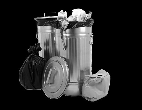 Experienced professionals handling business waste
